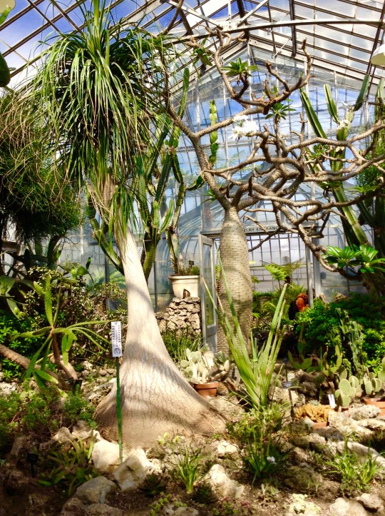 Belle Isle Conservatory